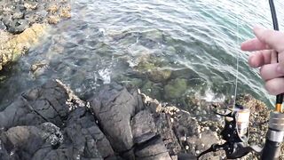 Особенности берегового спиннинга в ОАЭ (Фуджейра, Оманский залив)