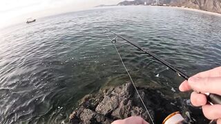 Особенности берегового спиннинга в ОАЭ (Фуджейра, Оманский залив)