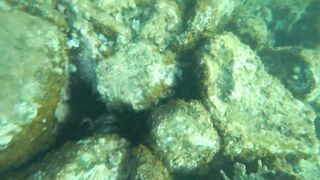 С удочкой ПО пляжам ОАЭ Фуджейра. FUJAIRAH HOTEL RADISSON BLU RESORT 5 #рыбалка, #IceHouse