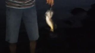 ОАЭ, Шарджа рыбалка на спининг (воблер) с берега 2018г.