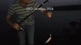 ОАЭ, Шарджа рыбалка на спининг (воблер) с берега 2018г.