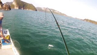 GT on Popper Fly (Langkawi Island, Malaysia)