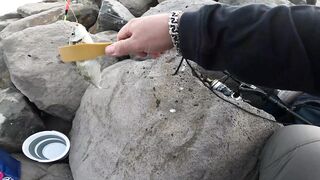 Рыбалка на волноломе возле порта Хайфы. Fishing on the breakwater near the port of Haifa.