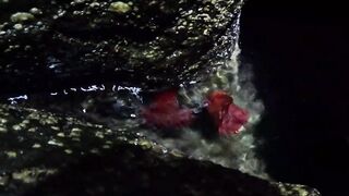 Рыбалка на волноломе возле порта Хайфы. Fishing on the breakwater near the port of Haifa.