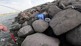 Рыбалка на волноломе возле порта Хайфы. Fishing on the breakwater near the port of Haifa.