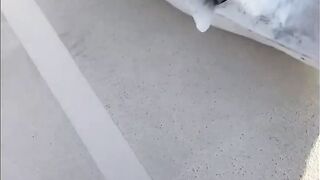 Рыбалка на яхте в Тель-Авиве - 052-5977756