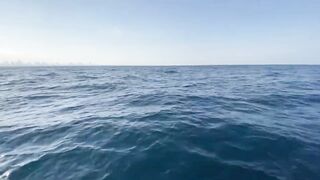 Рыбалка на яхте в Тель-Авиве - 052-5977756