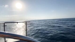 Рыбалка на яхте в Тель-Авиве - 052-5977756