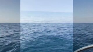 Рыбалка на яхте в Тель-Авиве - 052-5977756