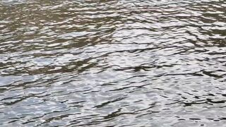 Тель-Авив/Яркон/Бури/Рыбалка