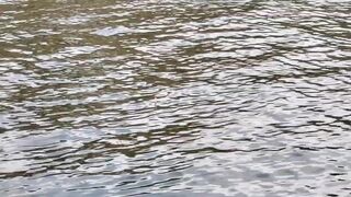 Тель-Авив/Яркон/Бури/Рыбалка