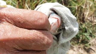 Тель-Авив/Яркон/Бури/Рыбалка