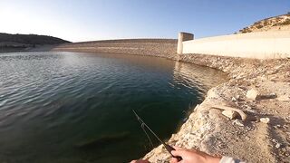 Ловля Басса на Кипре, день 2-й!