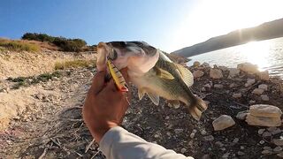 Ловля Басса на Кипре, день 2-й!