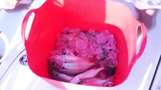Глубоководная рыбалка на Кипре (Кипр, Лимасол)
