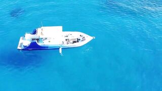 Морская рыбалка на Кипре в Айя Напе 2020 Никосия Ларнака Cyprus Larnaca (часть4)