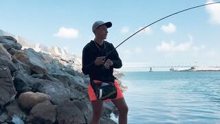 ПОКЛЕВКИ С КАЖДОГО ЗАБРОСА. Рыбалка в Абу-Даби. Ультралайт в море. ОАЭ