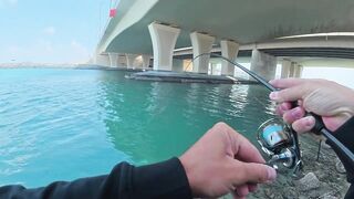 ПОКЛЕВКИ С КАЖДОГО ЗАБРОСА. Рыбалка в Абу-Даби. Ультралайт в море. ОАЭ