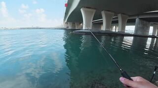 ПОКЛЕВКИ С КАЖДОГО ЗАБРОСА. Рыбалка в Абу-Даби. Ультралайт в море. ОАЭ