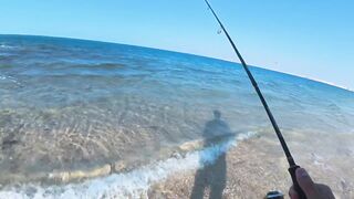 ПОКЛЕВКИ С КАЖДОГО ЗАБРОСА. Рыбалка в Абу-Даби. Ультралайт в море. ОАЭ