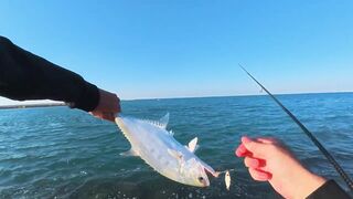 ПОКЛЕВКИ С КАЖДОГО ЗАБРОСА. Рыбалка в Абу-Даби. Ультралайт в море. ОАЭ