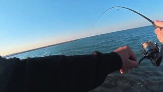 ПОКЛЕВКИ С КАЖДОГО ЗАБРОСА. Рыбалка в Абу-Даби. Ультралайт в море. ОАЭ
