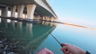 ПОКЛЕВКИ С КАЖДОГО ЗАБРОСА. Рыбалка в Абу-Даби. Ультралайт в море. ОАЭ