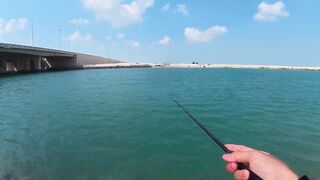 ПОКЛЕВКИ С КАЖДОГО ЗАБРОСА. Рыбалка в Абу-Даби. Ультралайт в море. ОАЭ