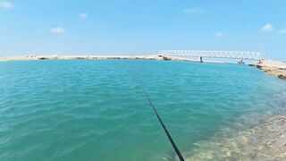 ПОКЛЕВКИ С КАЖДОГО ЗАБРОСА. Рыбалка в Абу-Даби. Ультралайт в море. ОАЭ