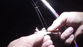 Рыболовные приключения в Шри-Ланке ночью