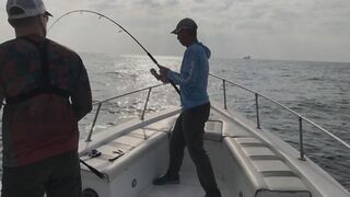 Абу-Даби , ловля Кингфиша , рыбалка в ОАЭ ! Kingfish Abu Dhabi.