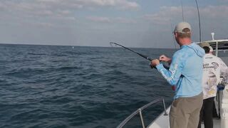 Абу-Даби , ловля Кингфиша , рыбалка в ОАЭ ! Kingfish Abu Dhabi.