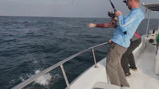 Абу-Даби , ловля Кингфиша , рыбалка в ОАЭ ! Kingfish Abu Dhabi.