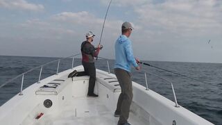 Абу-Даби , ловля Кингфиша , рыбалка в ОАЭ ! Kingfish Abu Dhabi.