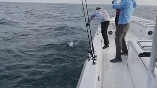 Абу-Даби , ловля Кингфиша , рыбалка в ОАЭ ! Kingfish Abu Dhabi.