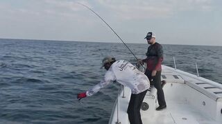 Абу-Даби , ловля Кингфиша , рыбалка в ОАЭ ! Kingfish Abu Dhabi.