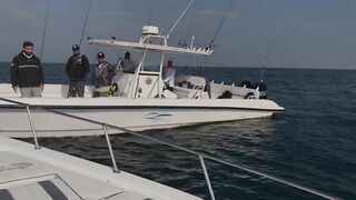 Абу-Даби , ловля Кингфиша , рыбалка в ОАЭ ! Kingfish Abu Dhabi.