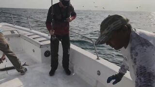 Абу-Даби , ловля Кингфиша , рыбалка в ОАЭ ! Kingfish Abu Dhabi.