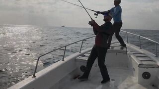 Абу-Даби , ловля Кингфиша , рыбалка в ОАЭ ! Kingfish Abu Dhabi.