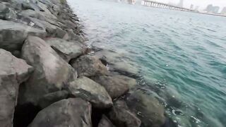 ОАЭ, Абу-Даби ,рыбалка с Берега, своим спиннингом, возле Лувра