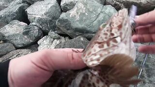 ОАЭ, Абу-Даби ,рыбалка с Берега, своим спиннингом, возле Лувра