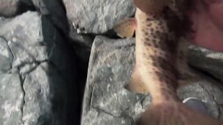 ОАЭ, Абу-Даби ,рыбалка с Берега, своим спиннингом, возле Лувра