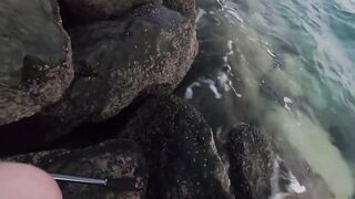 ОАЭ, Абу-Даби ,рыбалка с Берега, своим спиннингом, возле Лувра