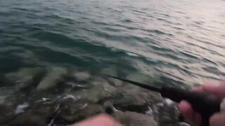 ОАЭ, Абу-Даби ,рыбалка с Берега, своим спиннингом, возле Лувра