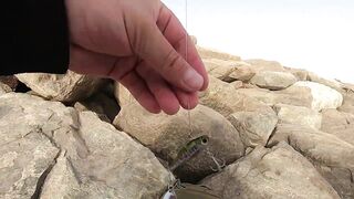 ОАЭ, Абу-Даби ,рыбалка с Берега, своим спиннингом, возле Лувра