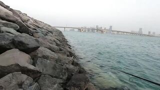 ОАЭ, Абу-Даби ,рыбалка с Берега, своим спиннингом, возле Лувра