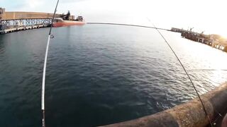 Морская рыбалка. Черное море - Туапсе. Ловля рыбы в Туапсе. Ловля с причала.