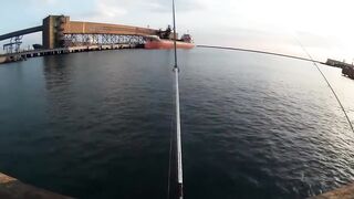 Морская рыбалка. Черное море - Туапсе. Ловля рыбы в Туапсе. Ловля с причала.