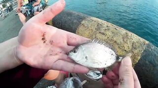 Морская рыбалка. Черное море - Туапсе. Ловля рыбы в Туапсе. Ловля с причала.