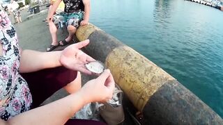 Морская рыбалка. Черное море - Туапсе. Ловля рыбы в Туапсе. Ловля с причала.